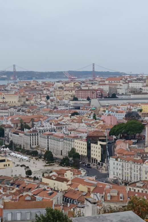 Half day Lisbon Tour Small group through the city of 7 hills - Who Would Enjoy This Tour?