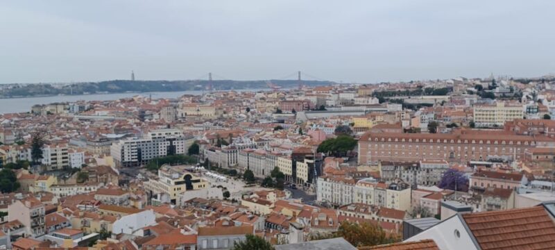 Half day Lisbon Tour Small group through the city of 7 hills - Feedback from Past Travelers