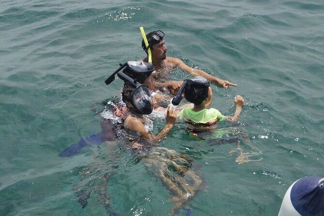 Half Day Lite Tour to Isla Mujeres - Authentic Traveler Insights