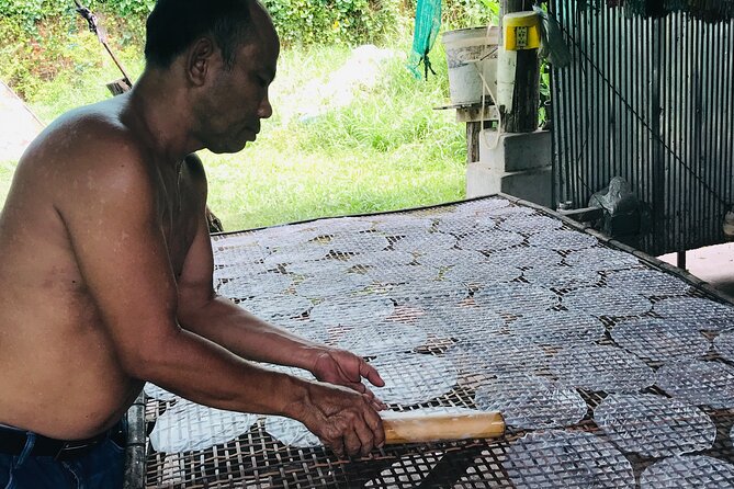Half Day Livelihood Tour - Battambang City & Villages.Local Life - Group Size and Accessibility