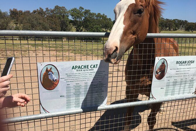 Half Day Living Legends tour with Devonshire Tea - The Sum Up