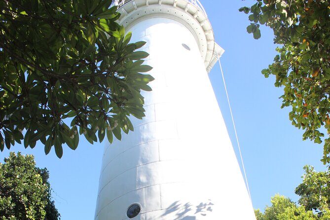 Half Day Low Island and Lagoon Snorkeling from Port Douglas - Final Thoughts