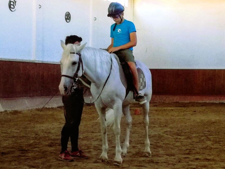 Half-Day Lusitanian Horses & Photography Museum Private Tour - Optional Horse Riding