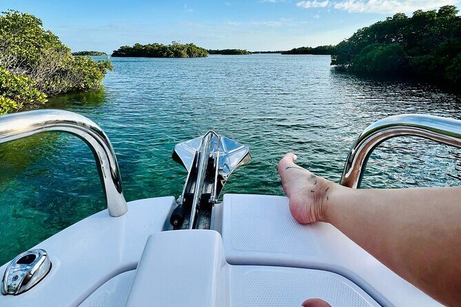 Half Day Luxury Boat Tour in Key West with Snorkeling - Who Is This Tour Best For?