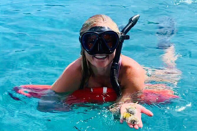 Half Day Luxury Catamaran Turtle Snorkel And Beach - Key Points