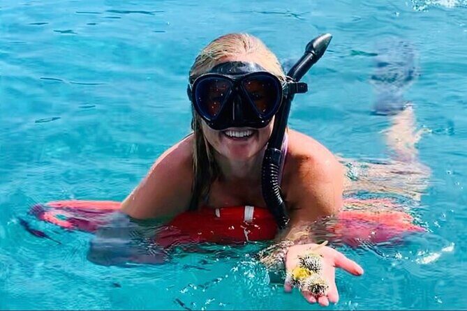 Half Day Luxury Catamaran Turtle Snorkel And Beach - An In-Depth Look at the Tour Experience