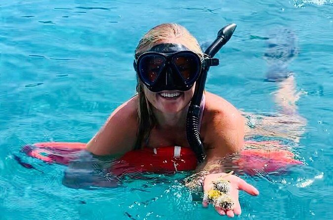 Half Day Luxury Catamaran Turtle Snorkel And Beach - FAQs