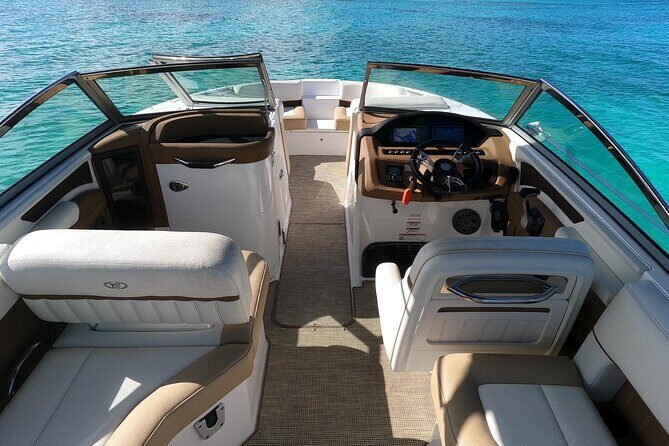 Half-Day Luxury Private Rose Island Pigs and Turtles Excursion - Introduction