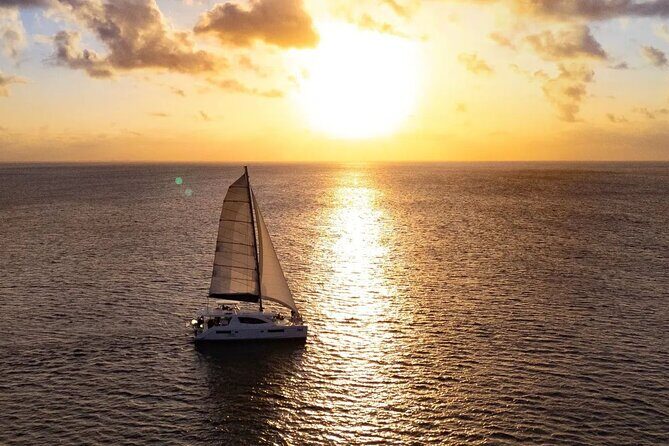 Half-Day Luxury Sailing in Puerto Morelos with Open Bar - Who Will Love This Tour?