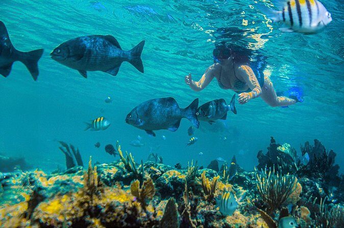 Half-Day Luxury Sailing in Puerto Morelos with Open Bar - FAQ