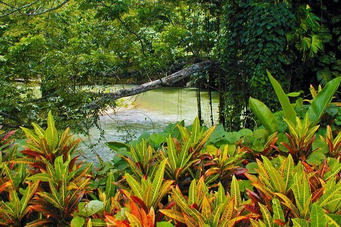 Half-Day Martha Brae Rafting Tour with Pickup Included - FAQ