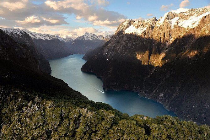 Half-Day Milford Sound Nature Cruise and Flight From Queenstown - Traveler Reviews and Feedback