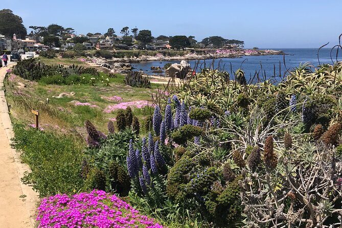 Half Day Monterey Peninsula Sightseeing Tour - Exploring the Itinerary in Detail