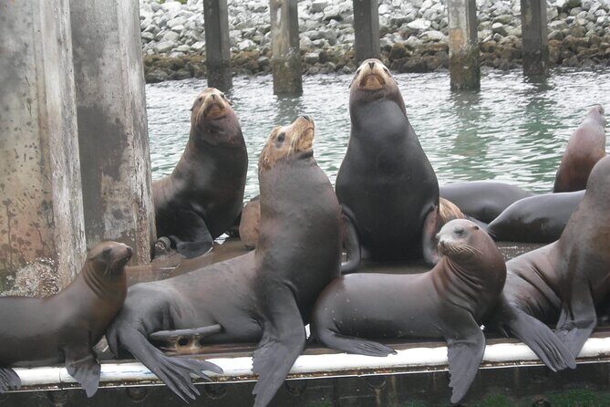 Half Day Monterey Peninsula Sightseeing Tour - Who Should Consider This Tour?