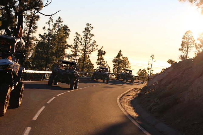 Half Day Morning Buggy Tour in Teide National Park - Pricing Information