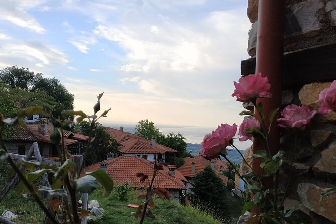 Half-day Mount Olympus Sunset Tour - Customer Reviews