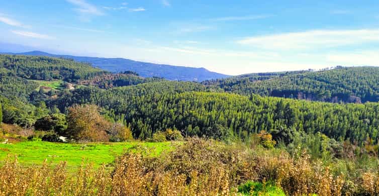 Half-Day Mountain Jeep Safari with firewater tasting - Key Points
