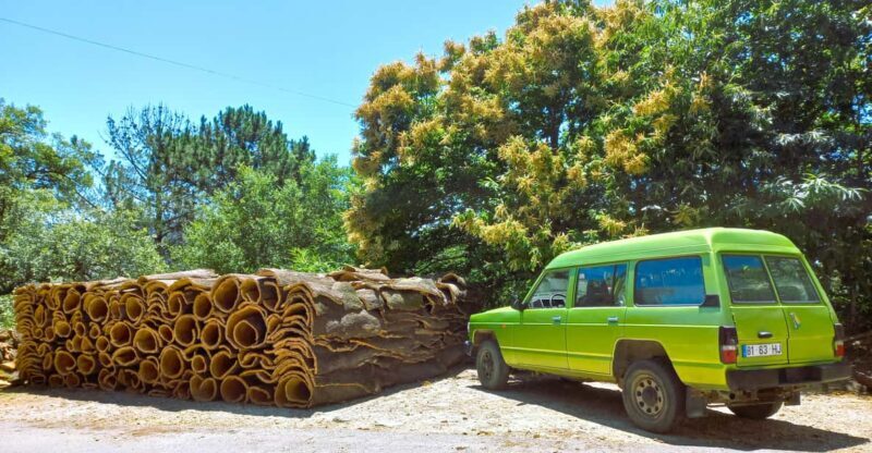 Half-Day Mountain Jeep Safari with firewater tasting - The Allure of the Algarve’s Highest Point: Fóia