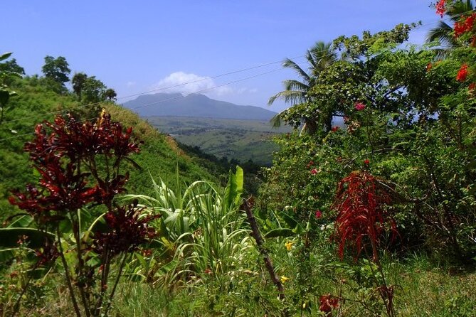 Half-Day Mountain Ride in Puerto Plata - Reviews and Testimonials