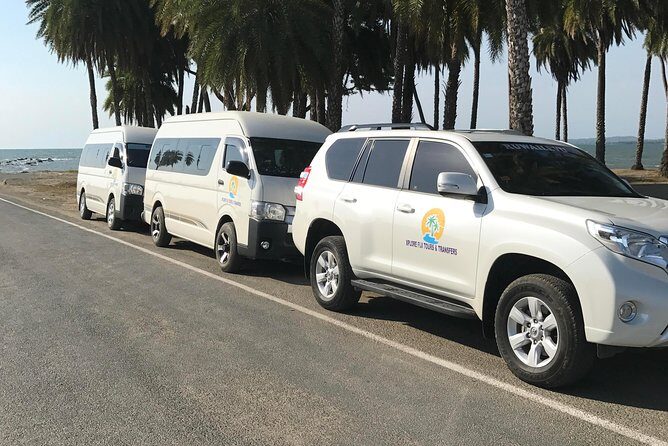 Half Day Nadi Sightseeing & Mud Pool Tour - Who Should Book This Tour?