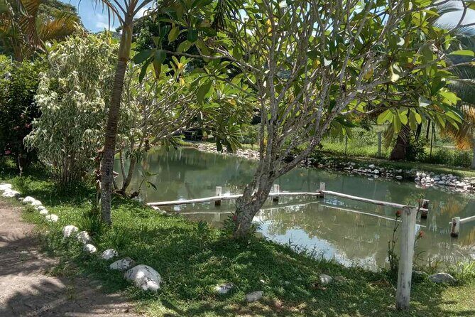 Half Day Nadi Tour Temple, Market, Gardens and Mud Pools - Who Is This Tour Best For?