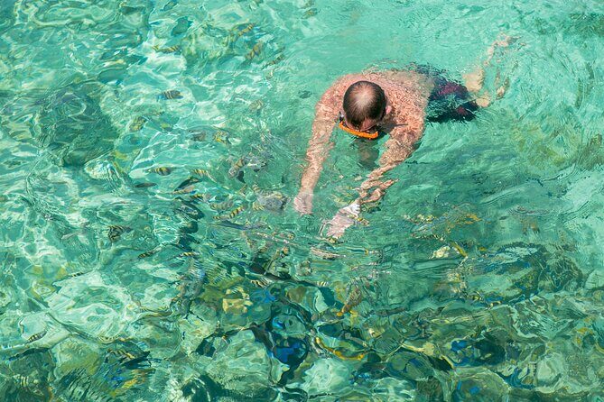 Half-Day Nassau Getaway: Rose Island Snorkeling & Turtle Visit - Practical Details and Tips  