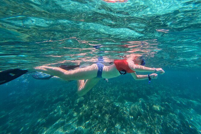 Half-Day Nassau Getaway: Rose Island Snorkeling & Turtle Visit - Frequently Asked Questions  