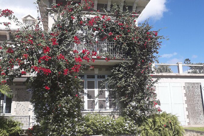 Half-Day Nature and Panorama Tour in Martinique - Fourth Stop: Domaine dEmeraude Botanical Garden