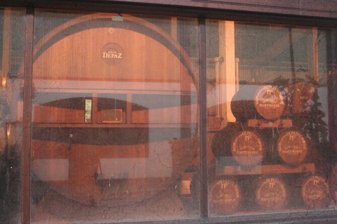 Half-Day Nature and Panorama Tour in Martinique - Volcano Viewpoints and Ruins