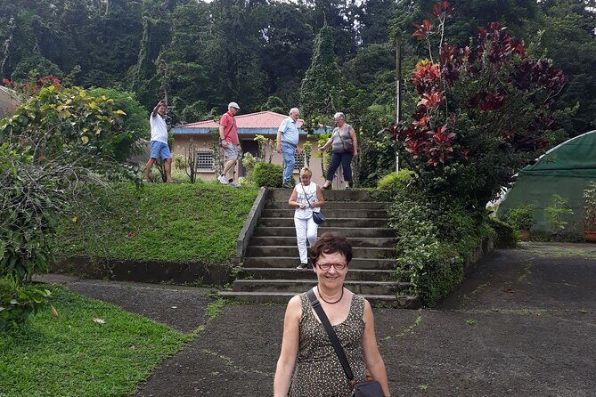 Half-Day Nature and Panorama Tour in Martinique - Rum Distillery Visit: Depaz