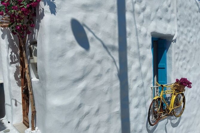 Half-Day Naxos Old Town, Castle and Apollo Temple Private Tour - Schedule
