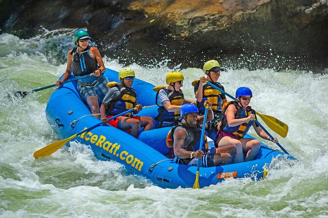 Half Day New River Gorge Whitewater Rafting - Good To Know