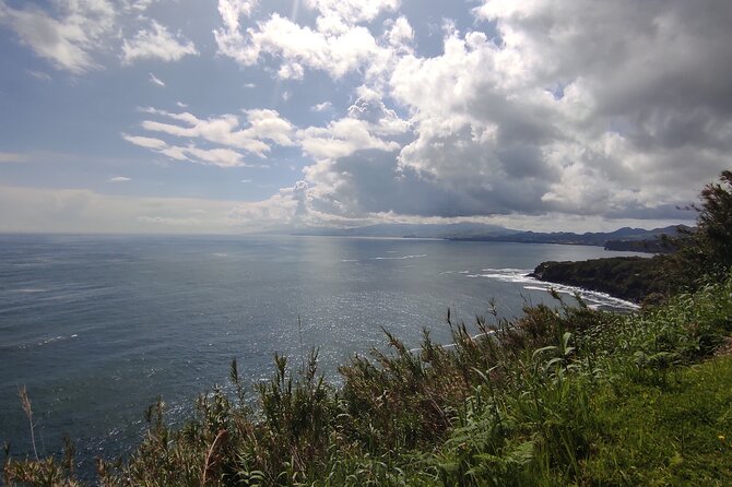 Half Day Off Road Tour in Azores - Tour Reviews