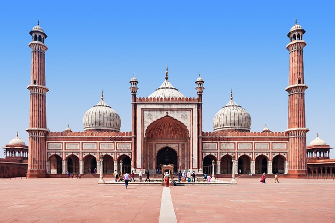 Half-Day Old Delhi City Tour: All Inclusive - Meeting and Pickup