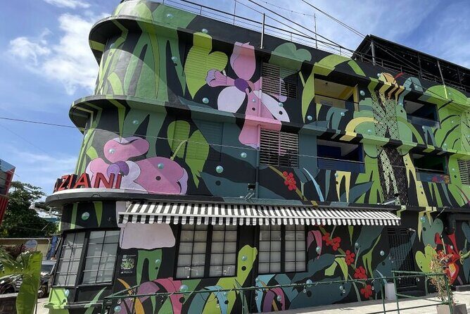 Half-Day: Old San Juan, Calle Cerra,Santurce, La Placita & Loíza - Discovering Old San Juan and Beyond: The Full Picture