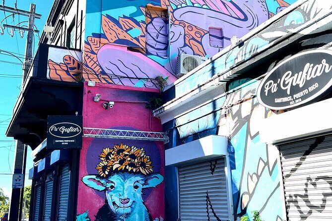 Half-Day: Old San Juan, Calle Cerra,Santurce, La Placita & Loíza - Who Should Consider This Tour?