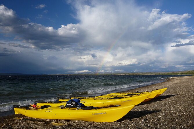Half Day Paddle on Yellowstone Lake Review - Fitness and Age Requirements