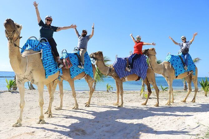 Half-Day Parasailing and Camel Caravan Tour in Maroma Beach - Final Thoughts