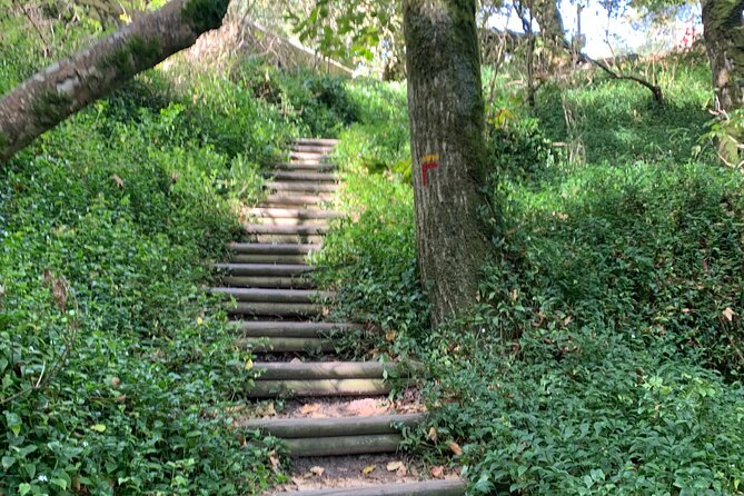 Half Day Park and Pena Palace and Sintra Village Private Tour - Exploring Pena Palace