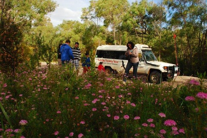 Half-Day Pemberton National Parks Beach and Forest Eco Adventure - Seasonal Attractions and Timing