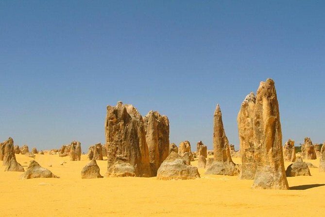 Half Day Pinnacles Sunset Tour - An In-Depth Look at the Experience