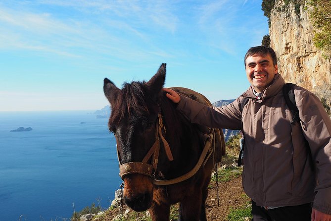 Half-Day Private Amalfi Coast Path of the Gods Hike With Lunch - Traveler Feedback and Recommendations
