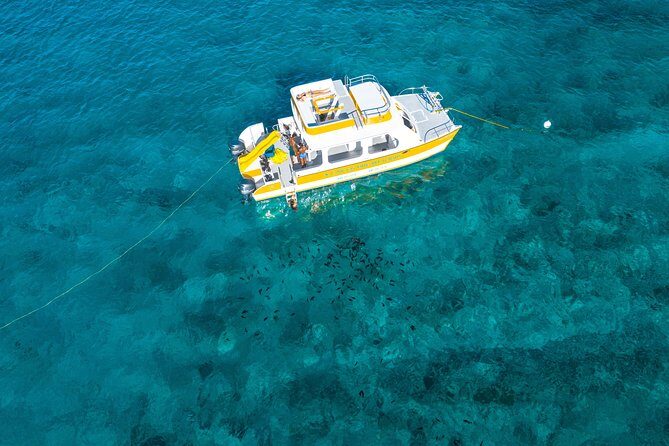 Half Day Private Boat Charter at Grace Bay, Providenciales - Who Will Love This Tour?