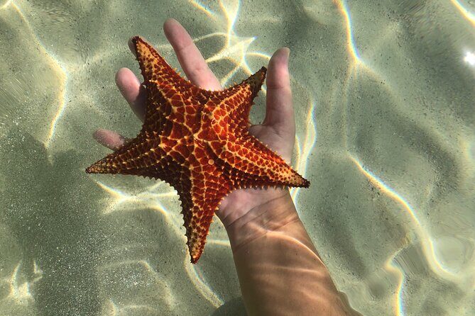 Half Day Private Boat Charter in Grand Cayman - What Travelers Say