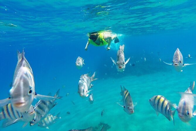 Half-Day Private Catamaran Tour in Puerto Plata - Value and Pricing Analysis