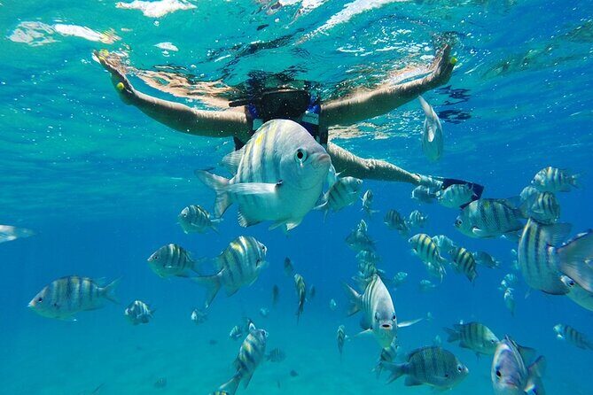 Half-Day Private Catamaran Tour in Puerto Plata - Who Will Love This Tour?