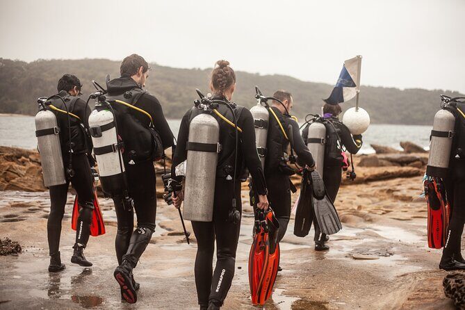 Half-Day Private Discover Dive at Australia's Iconic Beach - FAQ