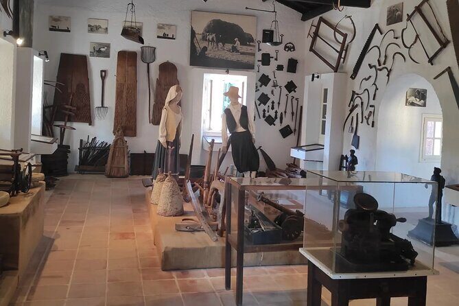 Half Day Private Durrels Tour in Corfu - The Sum Up