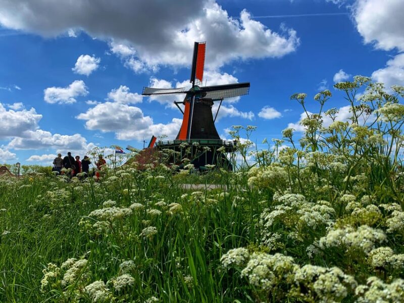 Half-Day Private Guided Sightseeing Tour of Zaanse Schans - Unique Experiences