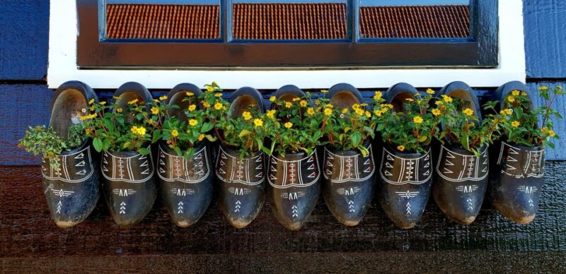 Half-Day Private Guided Sightseeing Tour of Zaanse Schans - Pricing and Discounts